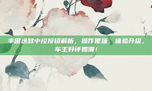 丰田逸致中控按钮解析，操作便捷，体验升级，车主好评如潮！