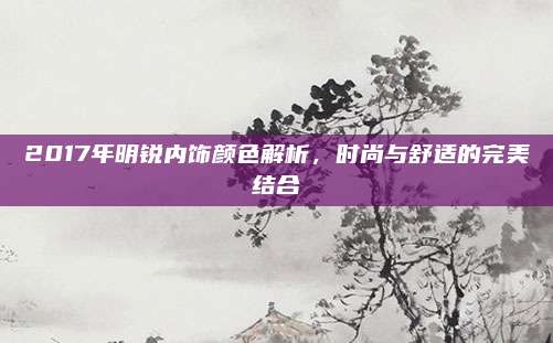 2017年明锐内饰颜色解析，时尚与舒适的完美结合