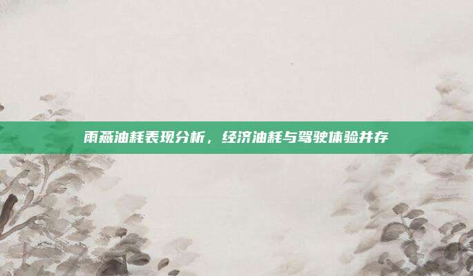 雨燕油耗表现分析，经济油耗与驾驶体验并存