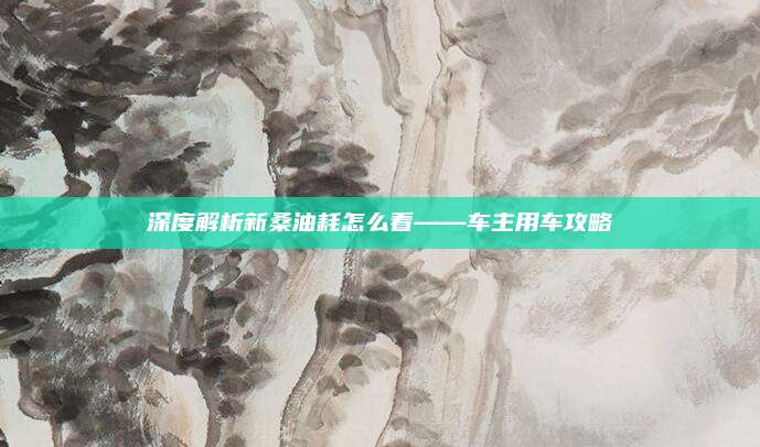 深度解析新桑油耗怎么看——车主用车攻略