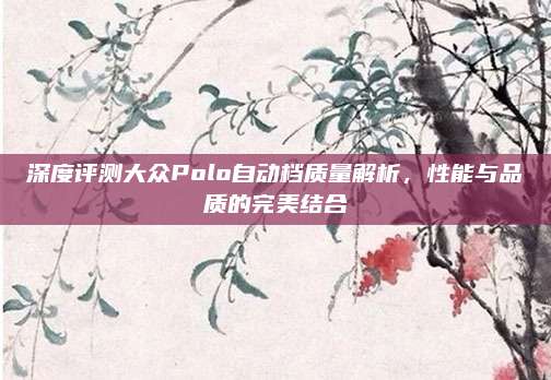 深度评测大众Polo自动档质量解析，性能与品质的完美结合