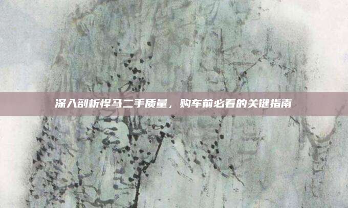 深入剖析悍马二手质量，购车前必看的关键指南