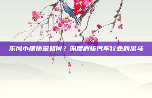 东风小康质量如何？深度解析汽车行业的黑马