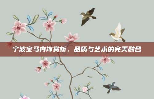 宁波宝马内饰赏析,品质与艺术的完美融合
