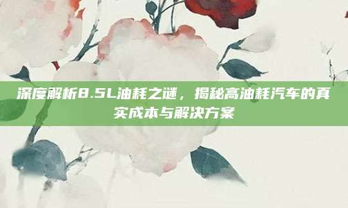 深度解析8.5L油耗之谜,揭秘高油耗汽车的真实成本与解决方案