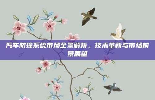 汽车防撞系统市场全景解析,技术革新与市场前景展望