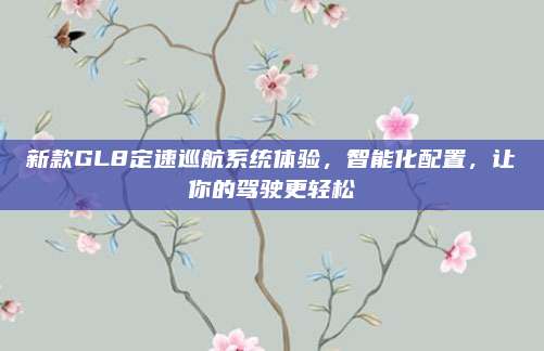 新款GL8定速巡航系统体验,智能化配置,让你的驾驶更轻松