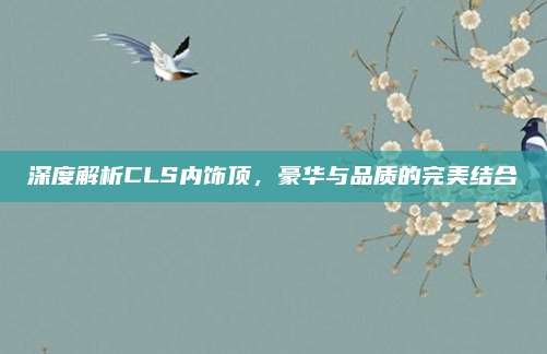 深度解析CLS内饰顶，豪华与品质的完美结合