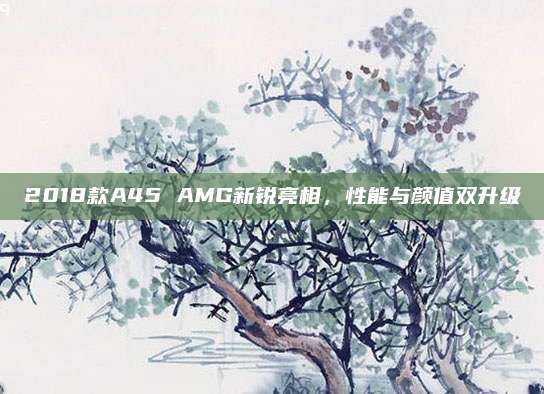 2018款A45 AMG新锐亮相，性能与颜值双升级