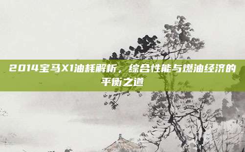 2014宝马X1油耗解析，综合性能与燃油经济的平衡之道