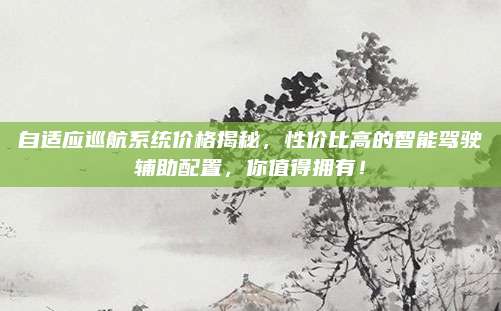 自适应巡航系统价格揭秘，性价比高的智能驾驶辅助配置，你值得拥有！