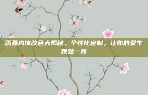 雨燕内饰改色大揭秘,个性化定制,让你的爱车焕然一新