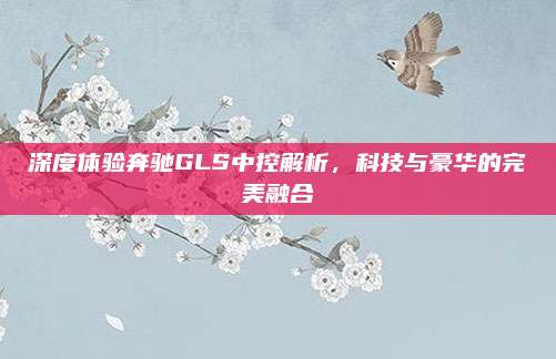 深度体验奔驰GLS中控解析,科技与豪华的完美融合