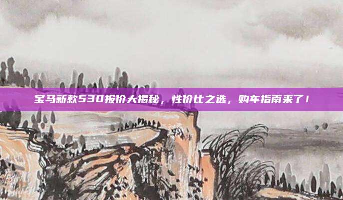 宝马新款530报价大揭秘,性价比之选,购车指南来了!