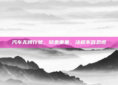 汽车无牌行驶,隐患重重,法规不容忽视