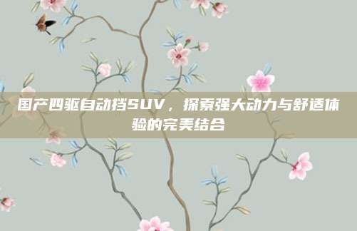 国产四驱自动挡SUV,探索强大动力与舒适体验的完美结合