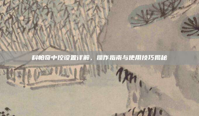 科帕奇中控设置详解,操作指南与使用技巧揭秘