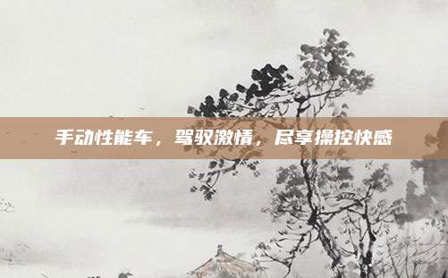 手动性能车，驾驭激情，尽享操控快感