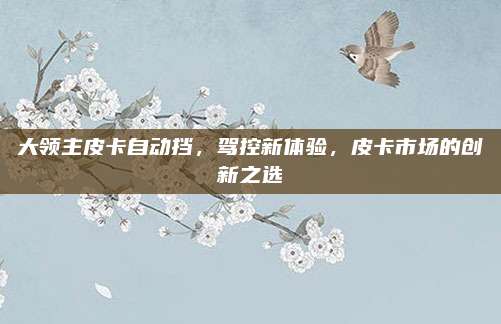 大领主皮卡自动挡,驾控新体验,皮卡市场的创新之选