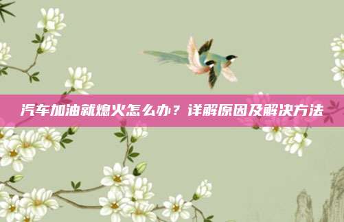 汽车加油就熄火怎么办？详解原因及解决方法