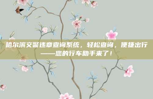 哈尔滨交警违章查询系统，轻松查询，便捷出行——您的行车助手来了！