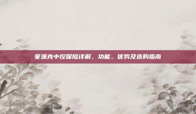 蒙派克中控保险详解，功能、优势及选购指南