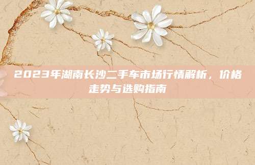 2023年湖南长沙二手车市场行情解析，价格走势与选购指南