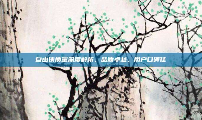 自由侠质量深度解析，品质卓越，用户口碑佳