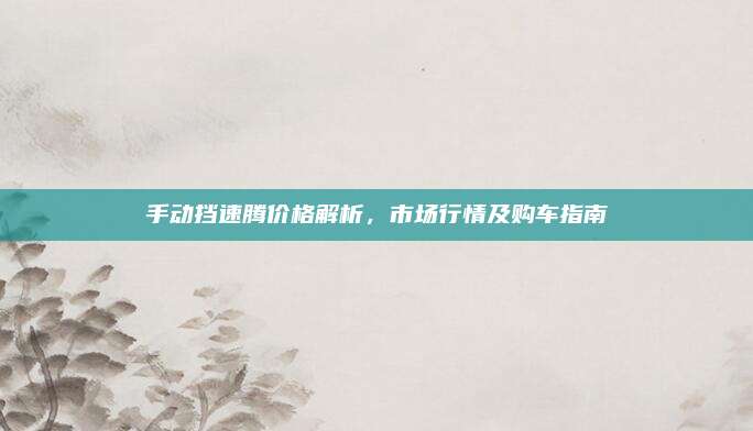 手动挡速腾价格解析，市场行情及购车指南