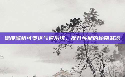 深度解析可变进气道系统，提升性能的秘密武器