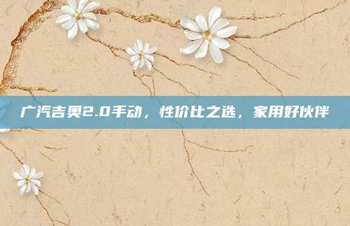 广汽吉奥2.0手动,性价比之选,家用好伙伴
