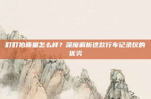 盯盯拍质量怎么样？深度解析这款行车记录仪的优劣