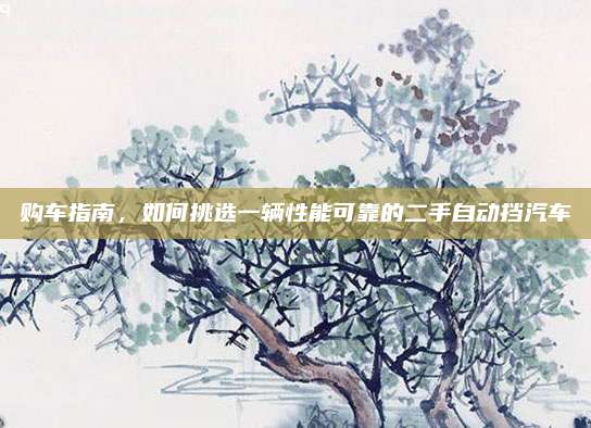 购车指南,如何挑选一辆性能可靠的二手自动挡汽车
