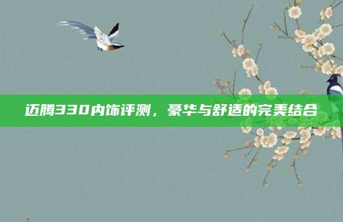 迈腾330内饰评测，豪华与舒适的完美结合