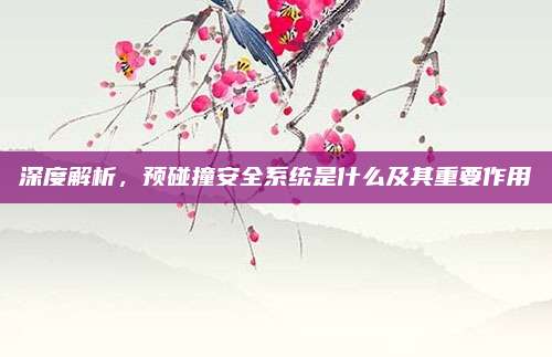 深度解析,预碰撞安全系统是什么及其重要作用