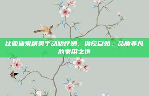 比亚迪宋精英手动版评测，操控自如，品质非凡的家用之选