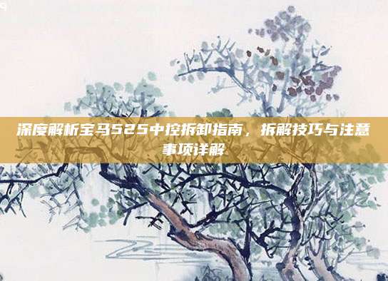 深度解析宝马525中控拆卸指南，拆解技巧与注意事项详解