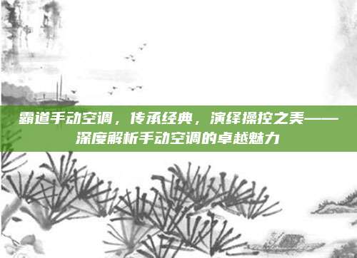 霸道手动空调,传承经典,演绎操控之美——深度解析手动空调的卓越魅力