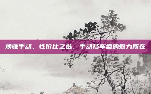 焕驰手动,性价比之选,手动挡车型的魅力所在