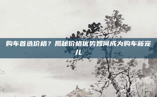 购车首选价格?揭秘价格优势如何成为购车新宠儿