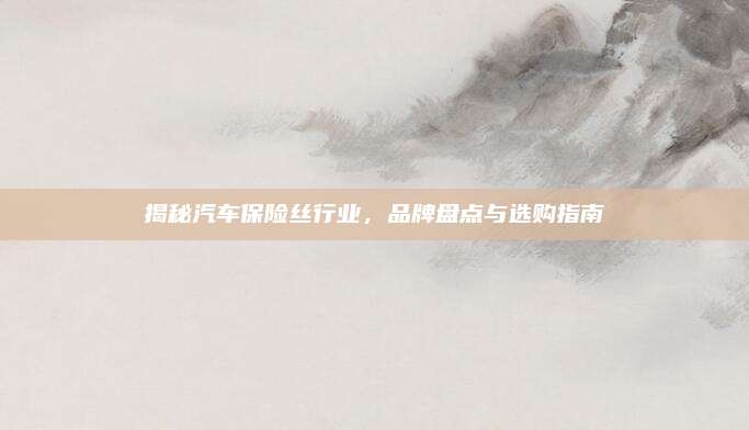 揭秘汽车保险丝行业,品牌盘点与选购指南
