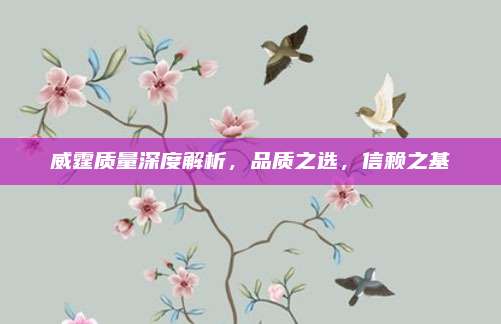 威霆质量深度解析,品质之选,信赖之基