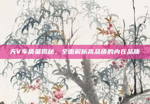 天V车质量揭秘,全面解析高品质的内在品质