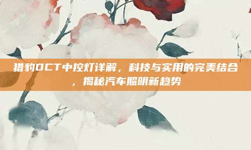 猎豹DCT中控灯详解,科技与实用的完美结合,揭秘汽车照明新趋势