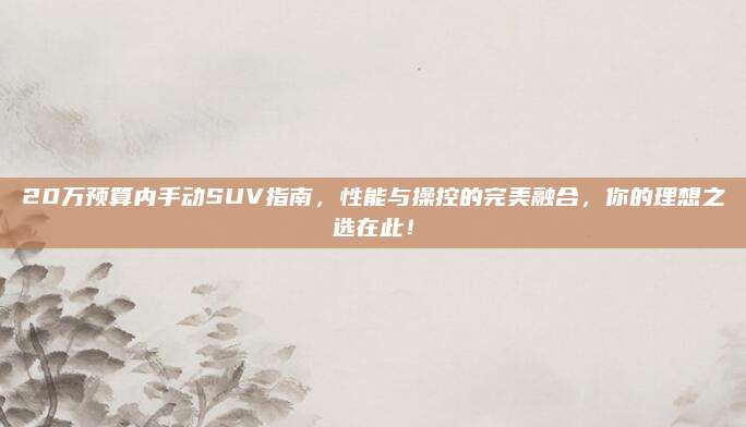 20万预算内手动SUV指南,性能与操控的完美融合,你的理想之选在此!