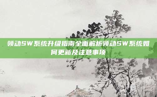 领动SW系统升级指南全面解析领动SW系统如何更新及注意事项