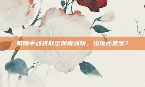 威朗手动进取型深度剖析,垃圾还是宝?