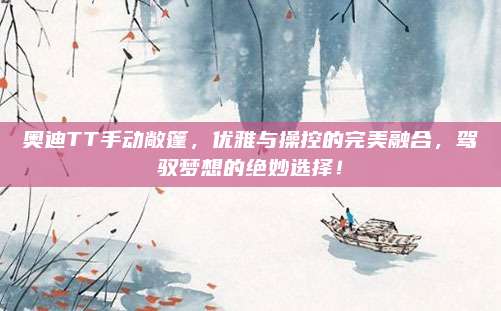奥迪TT手动敞篷，优雅与操控的完美融合，驾驭梦想的绝妙选择！