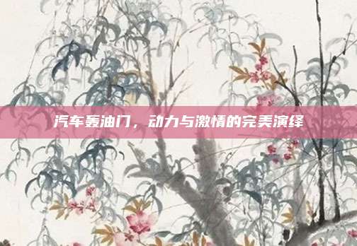 汽车轰油门，动力与激情的完美演绎