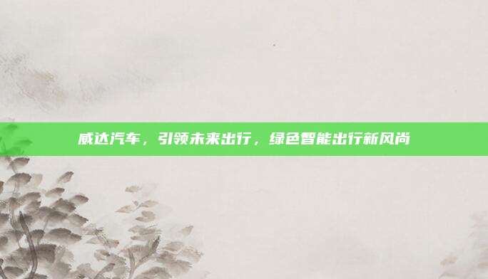 威达汽车,引领未来出行,绿色智能出行新风尚